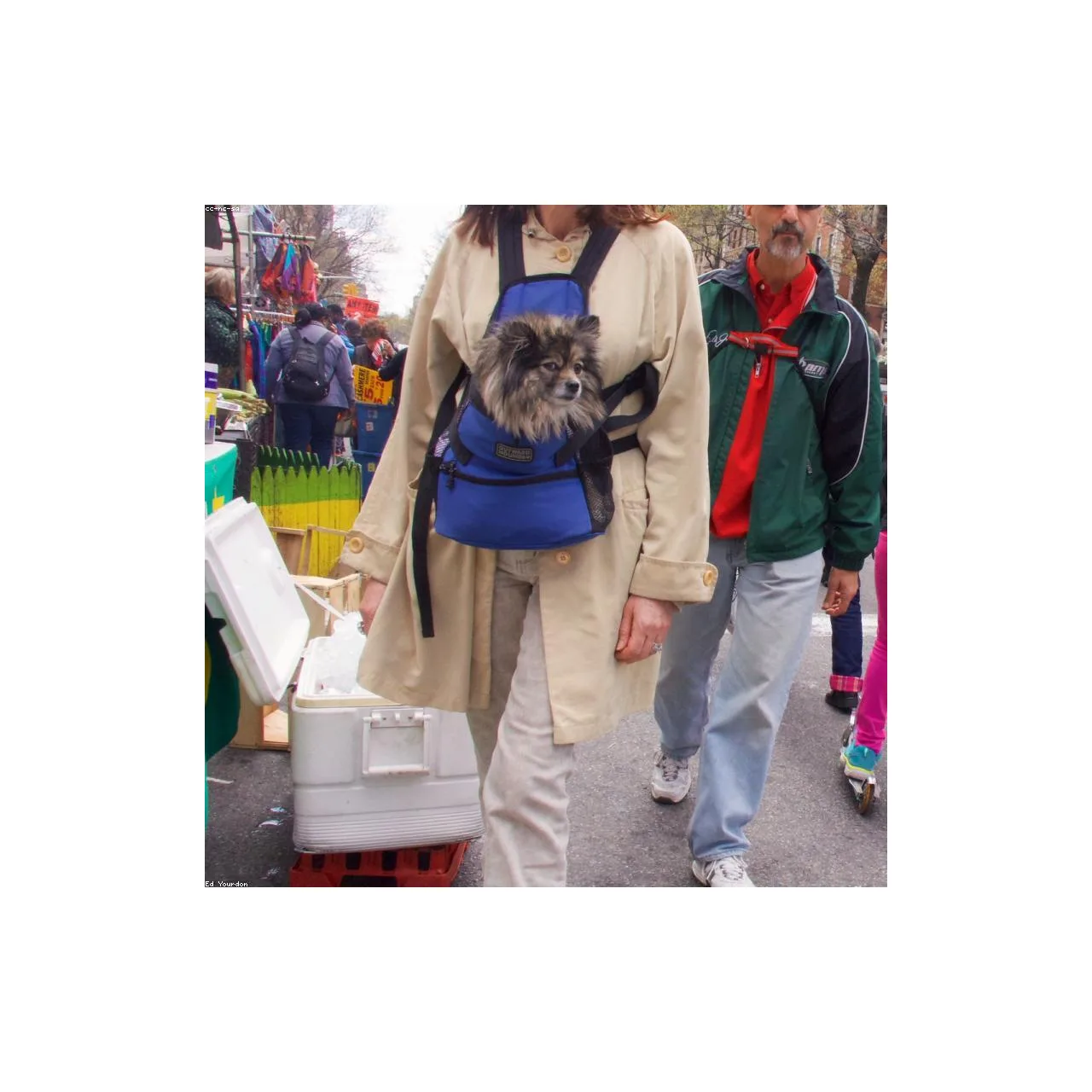Katlanır Köpek Taşıma Çantası