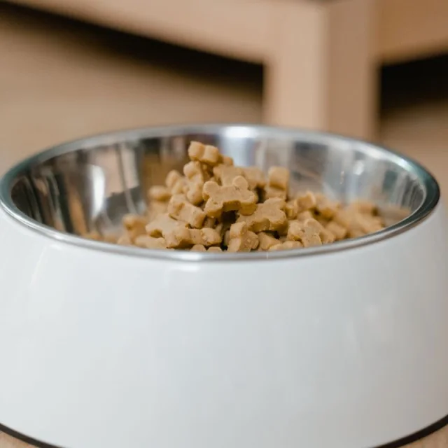Kuzu Etli Yetişkin Köpek Maması