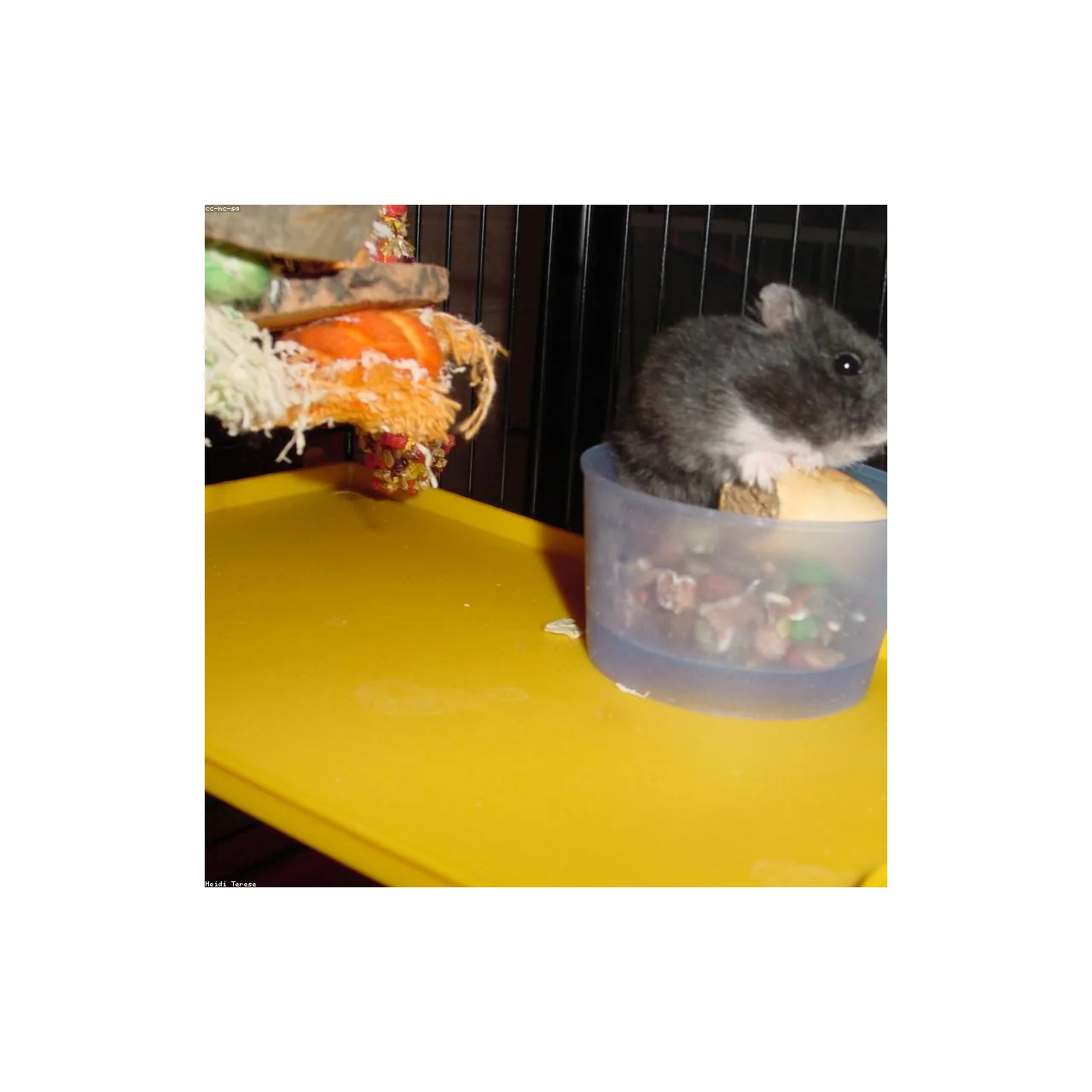 Hamster & Tavşan Yem Karışımı