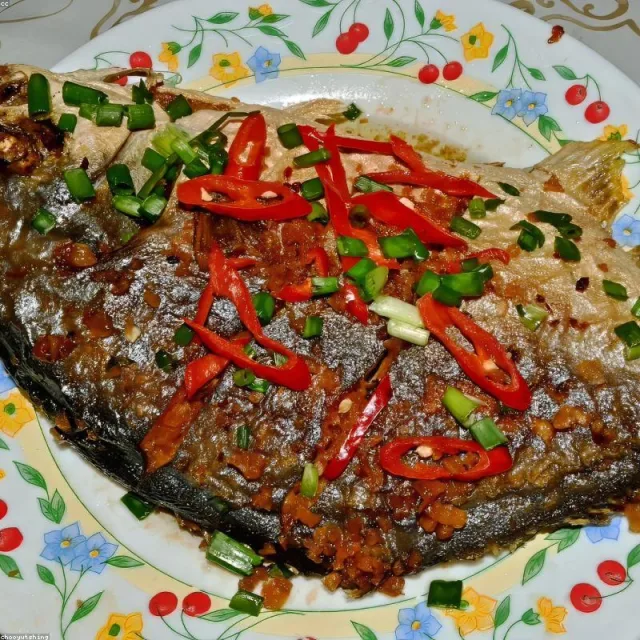 Tropikal Balık Pul Yem