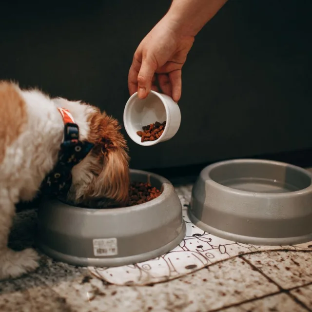 Yavru Köpek Maması Tavuklu